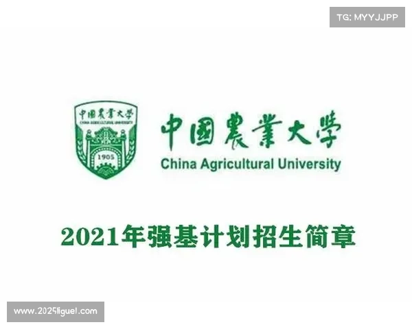 中国民族拳击邀请赛建立长效机制 明年计划扩展至18省份进一步推动发展 中国民族拳击邀请赛建立长效机制 明年计划扩展至18省份进一步推动发展