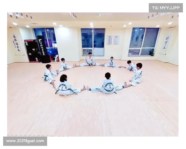 传统与现代融合：跆拳道文化在校园中的传播方式